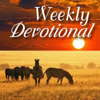 Devotional 2019 - Week 8