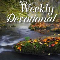 Devotional 2017 - Week 46