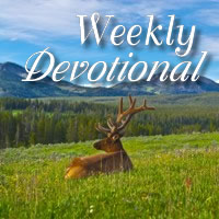 Devotional 2017 - Week 18